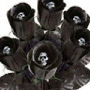 Meet your Posher, Janet